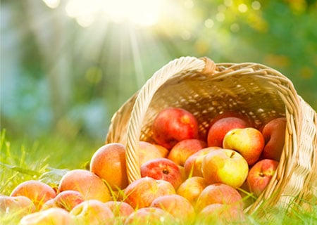 Hofmann Fruchtsäfte nutzt Branchenlösung INTEGRA® zur Optimierung der Supply Chain